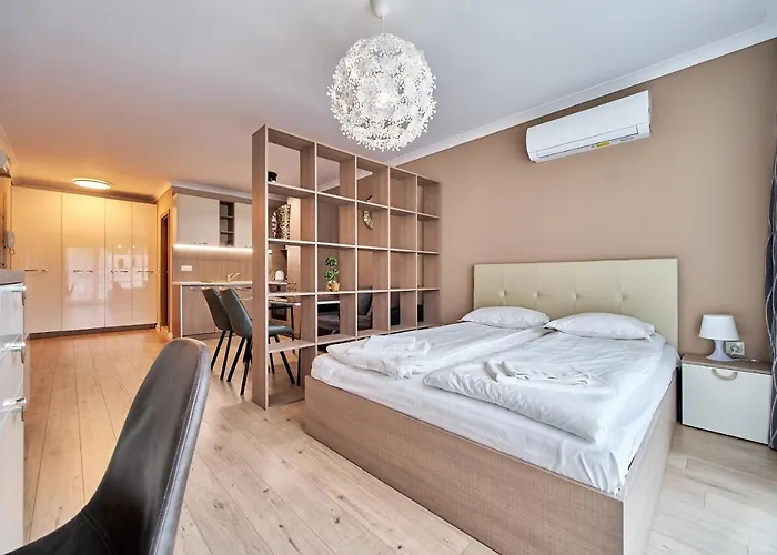 Comfy Luxury Center Apartment